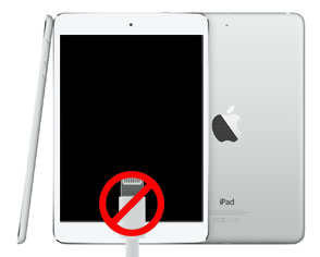 iPad Air Charging Port