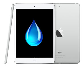 iPad Air Liquid Damage