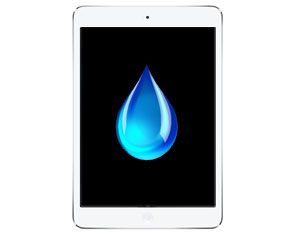 iPad 3 Liquid Damage