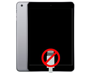 iPad mini 3 Charging Port