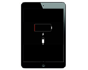 iPad mini Battery Replacement