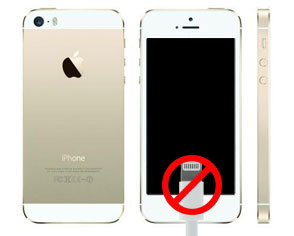 iPhone 5s Charging Port Repair