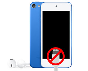 iPod Touch 6th gen Glass and LCD Repair Charging Port